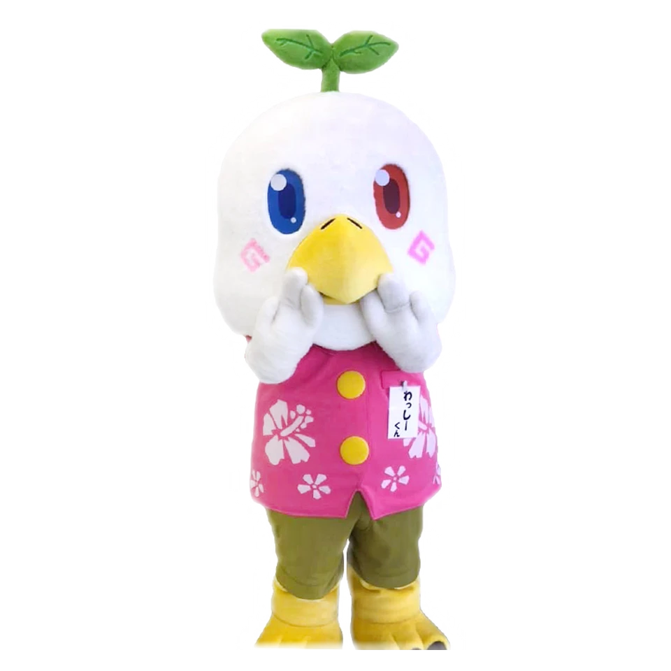 Wasshi-kun