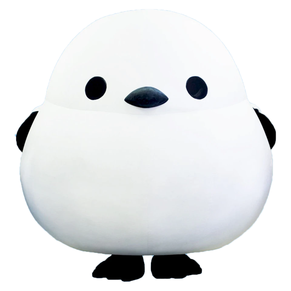 Shima-chan
