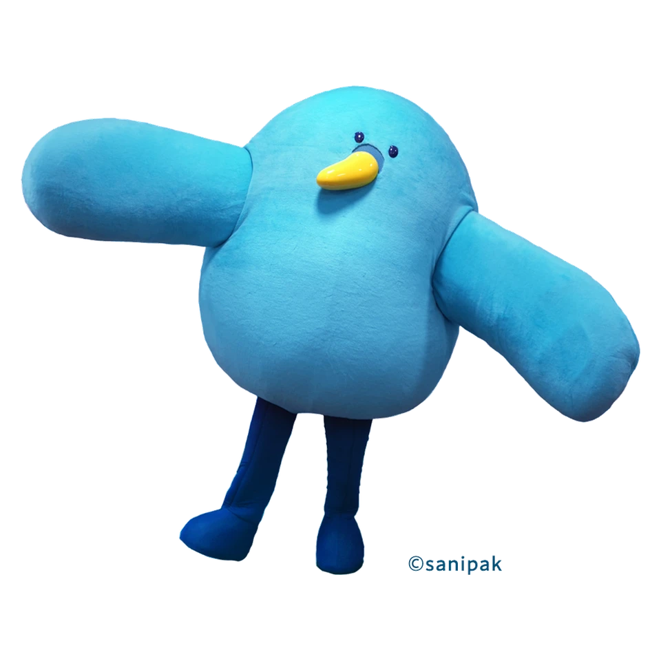 Seagull Sunny