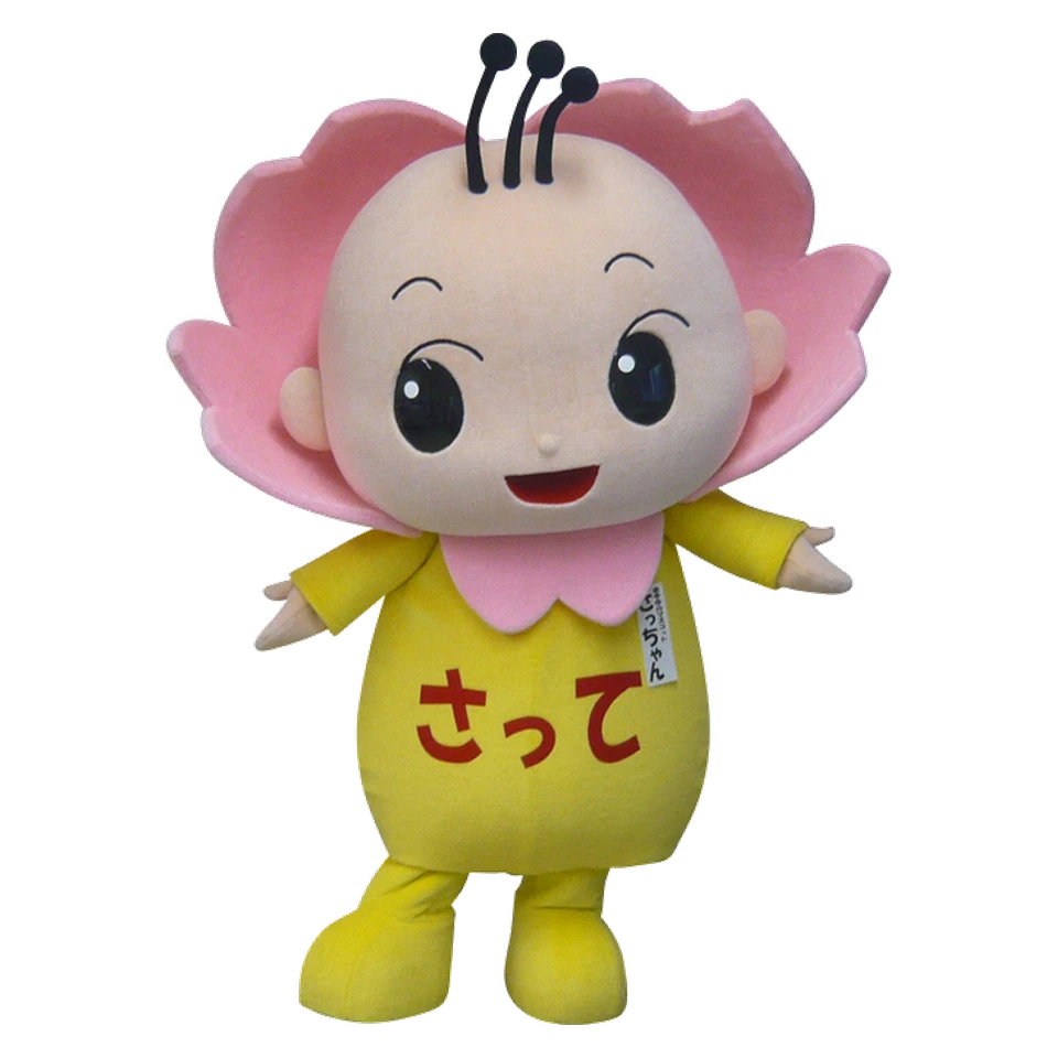 Sacchan