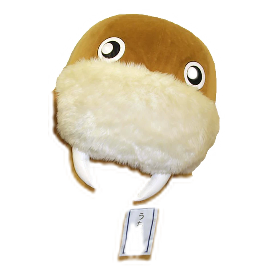 Uchicchi