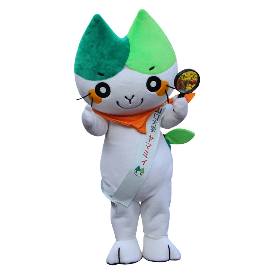 Yamamy