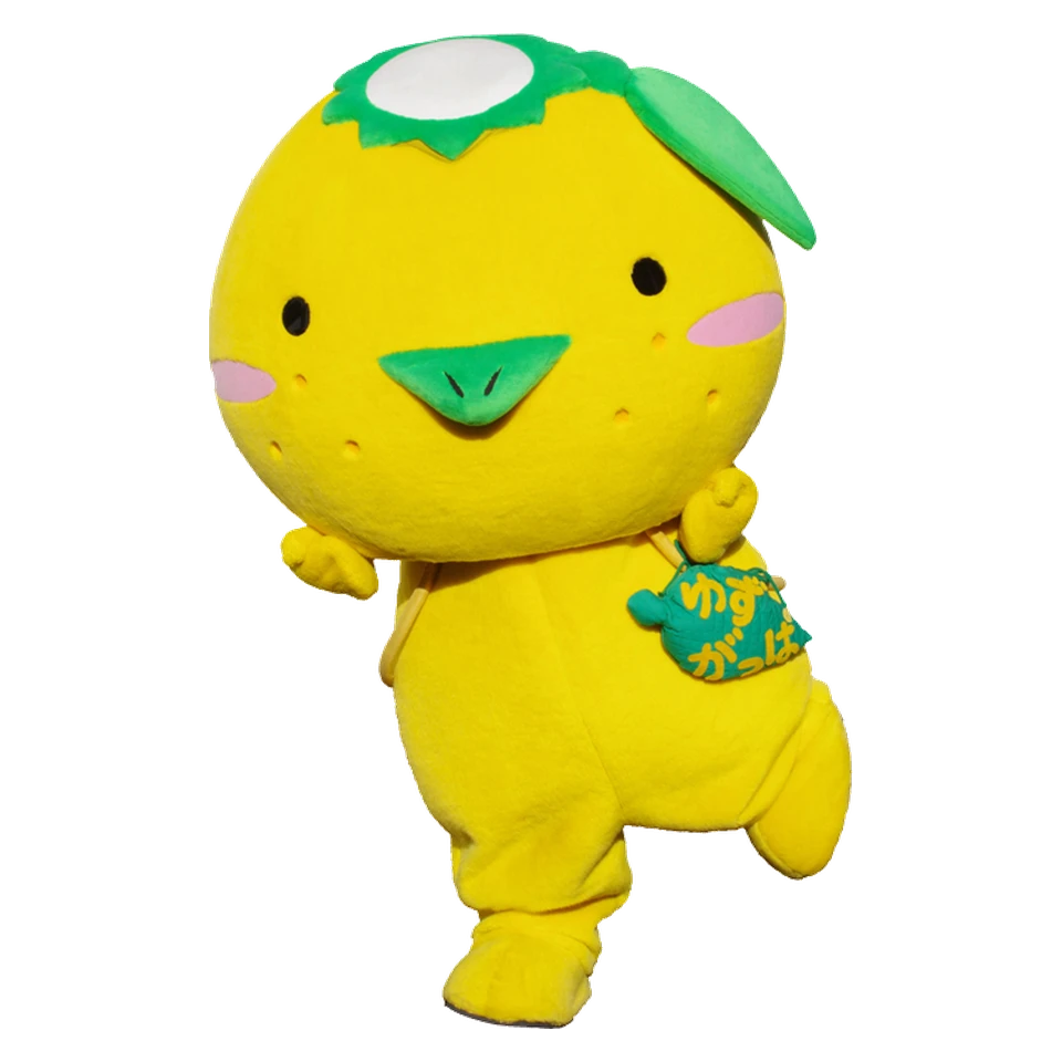 ゆずがっぱ