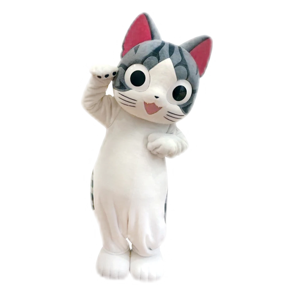 Kitten Chi