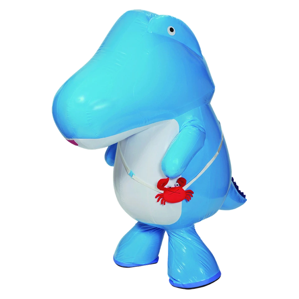 Nam Character Support Group Fukui Prefecture Representative Member Flap-kun