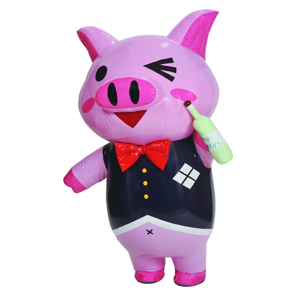 Nam Character Cheer Squad Yamanashi Prefecture Member Tonton-chan