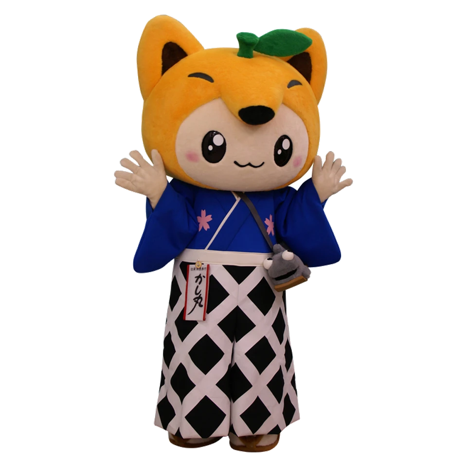 Kashimaru-kun