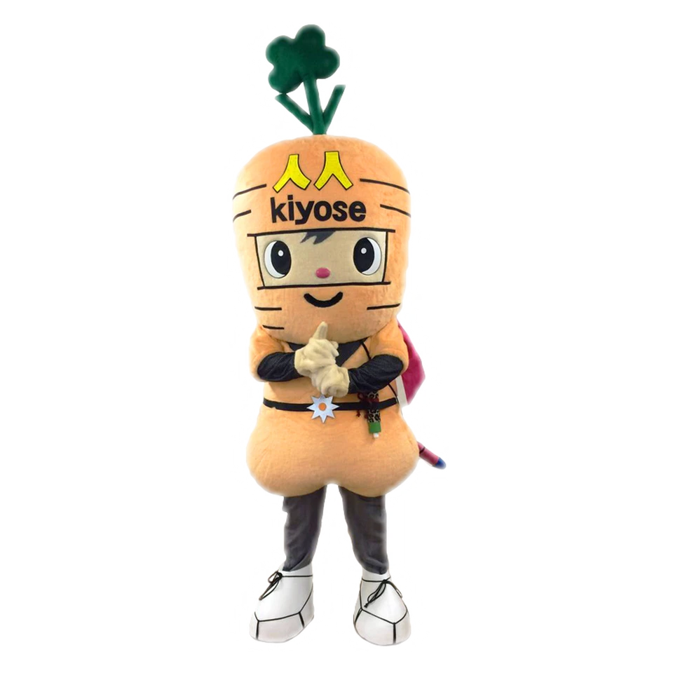 Nin-nin-kun