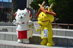 「しっぺい」と「しまねっこ」おともだち協定結ぶ