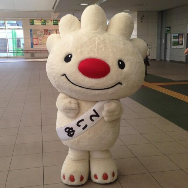 ていぬ