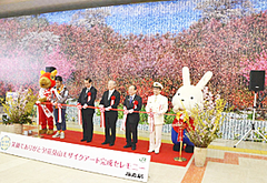 20140313_008_001