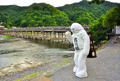 「月橋渡」人気上昇中