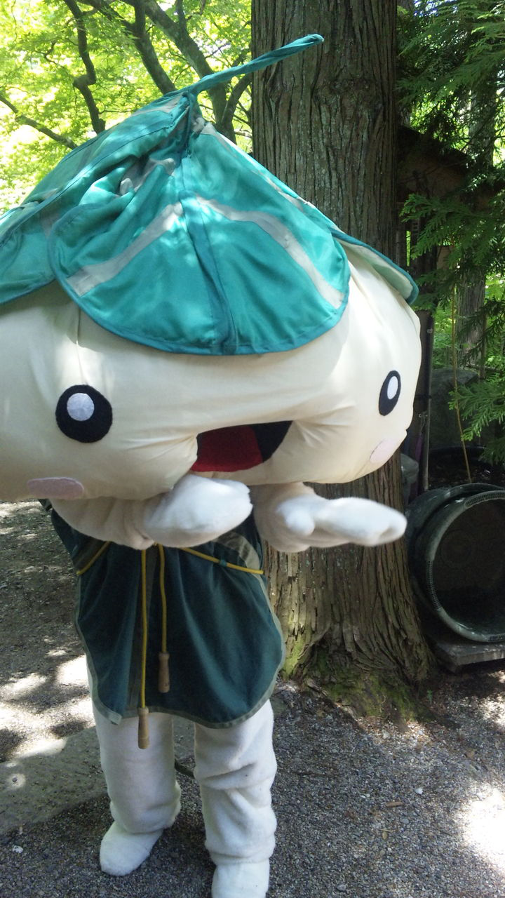 ほおちゃん