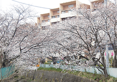 20140328_002_001