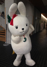 kokupyon-TKY_074