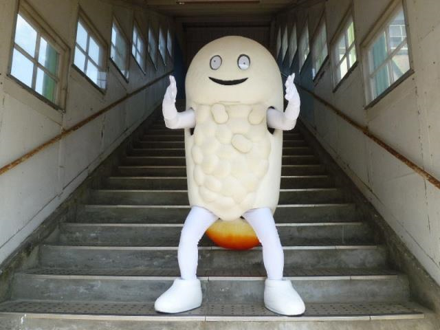 ずーしーほっきー
