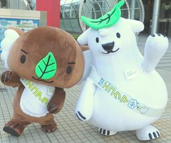 ekoaraakokuma-TKY_044