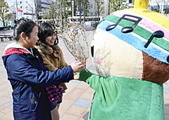 20150325_006_001
