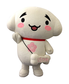 shirakawan-FKM_007