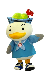 かもめん