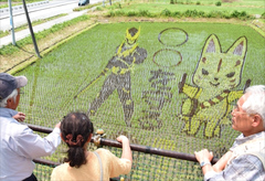 2万7千株の稲で描く「きゅーびー」ら 那須塩原、田んぼアート公開