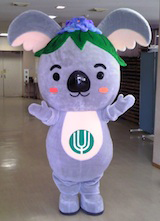 こあらっち