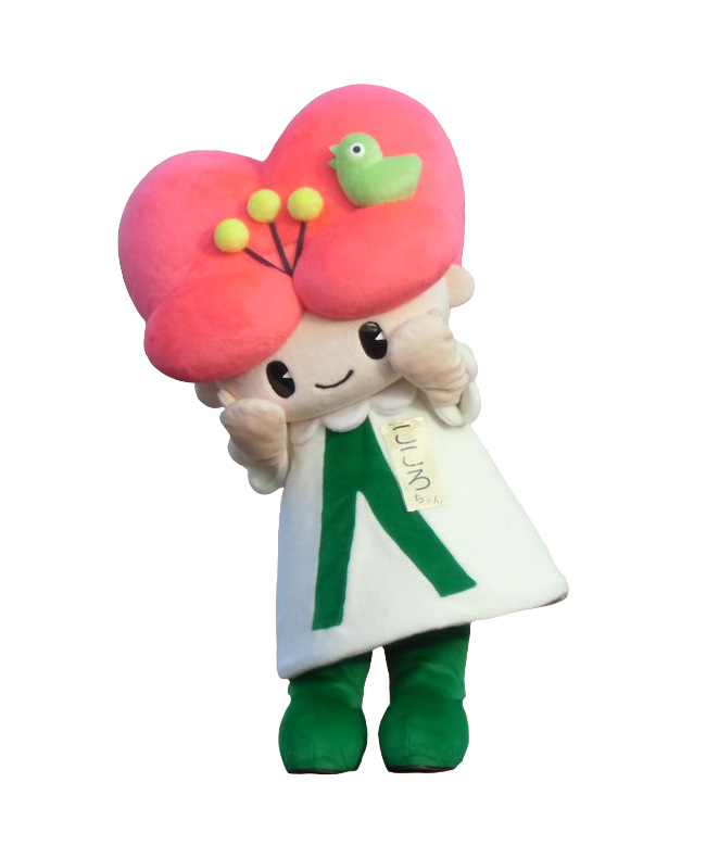 こころちゃん