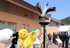 20150323_005_001