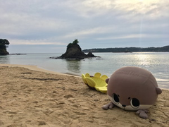須崎市「しんじょう君」カワウソ発見の対馬を訪れる