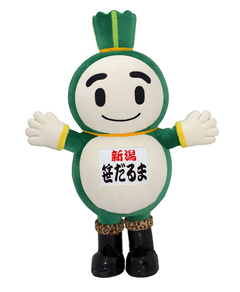 sasadaruma-NIG_042