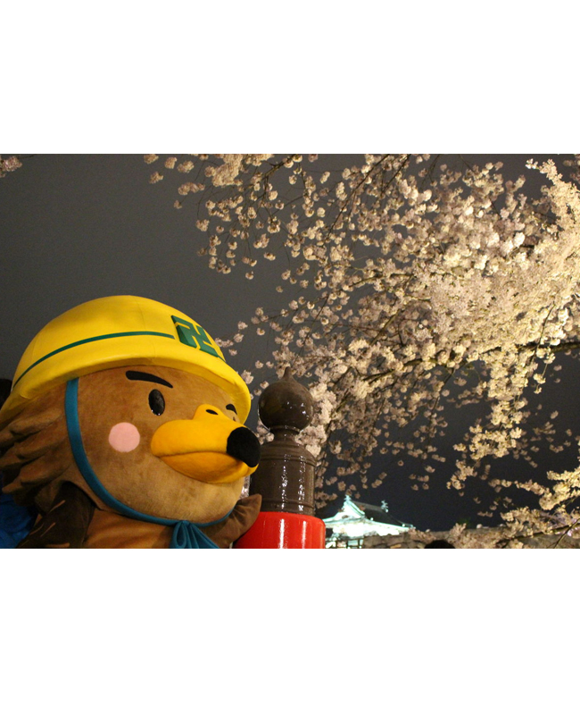 たか丸くん
