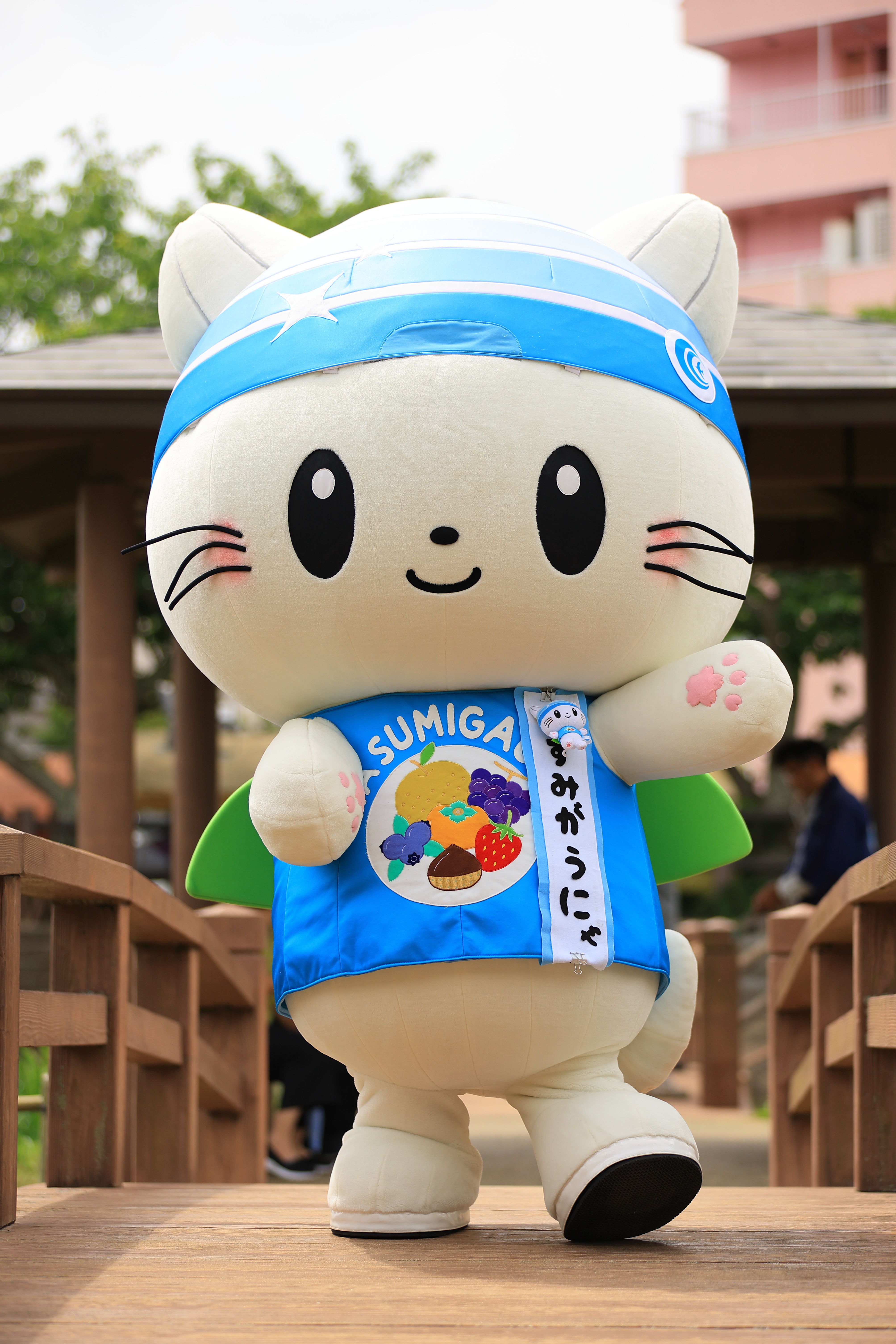 かすみがうにゃ