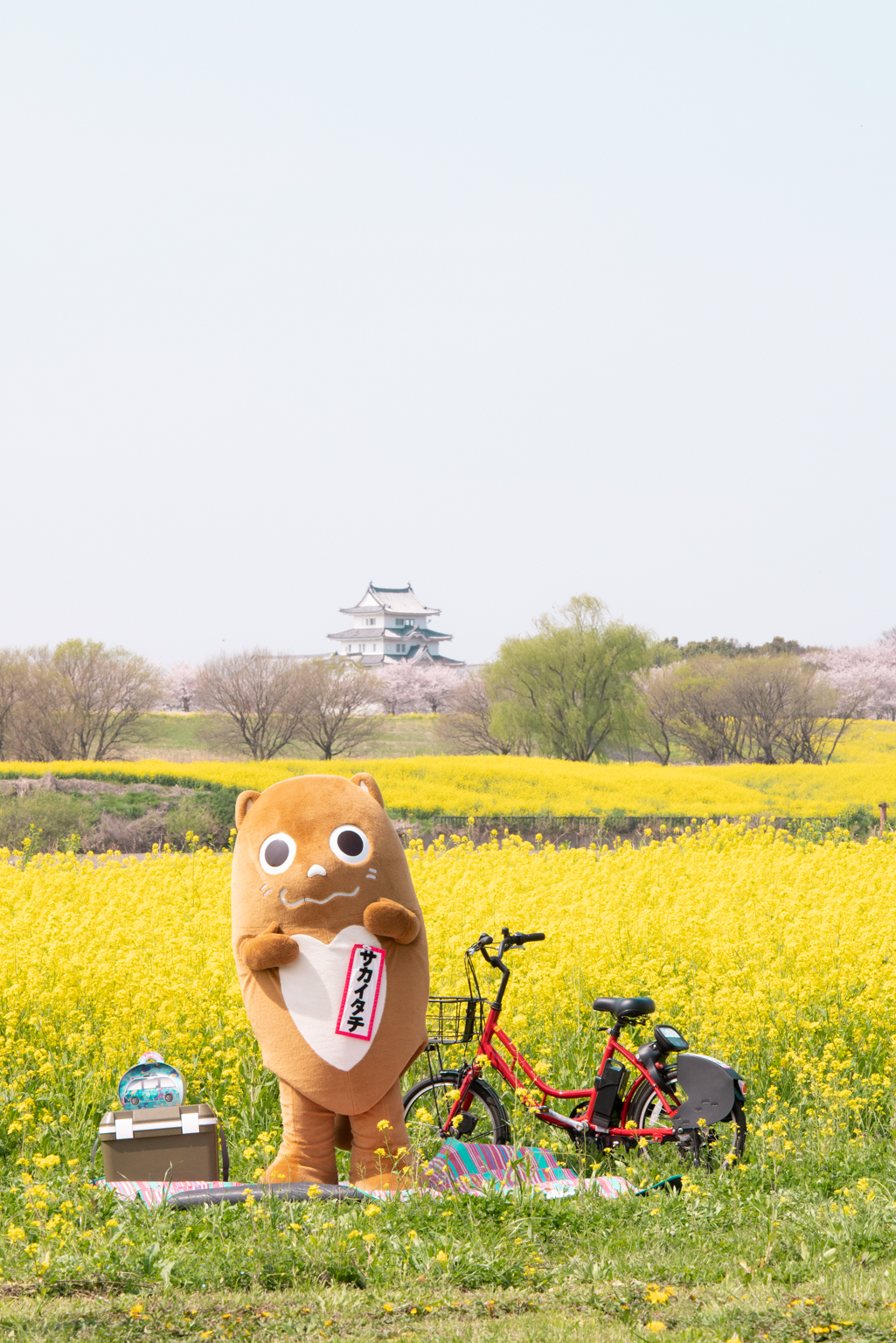 サカイタチ