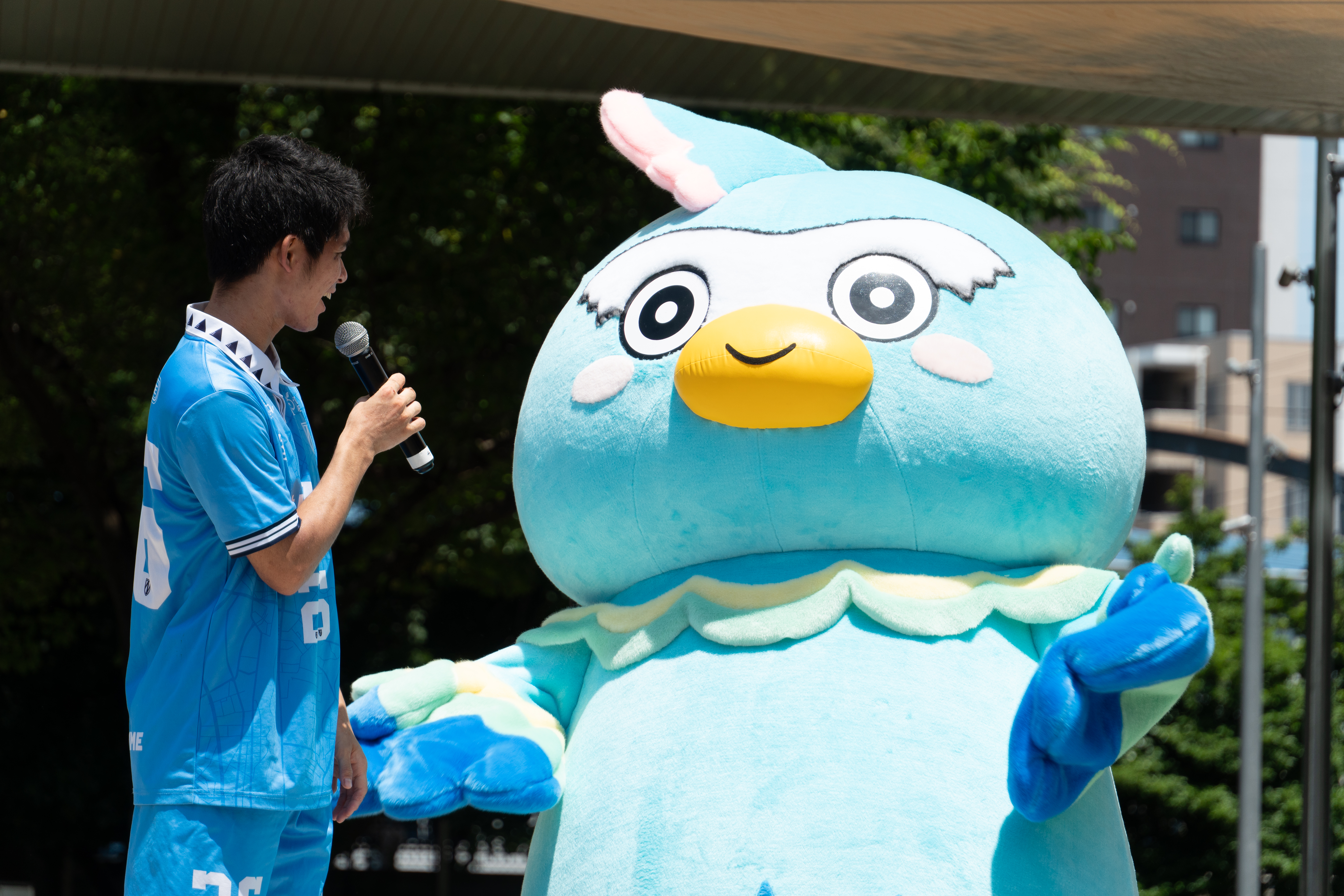 たっか～くん