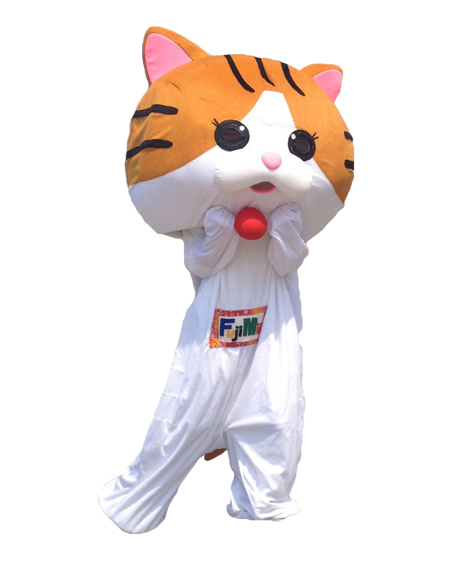 フジミィー