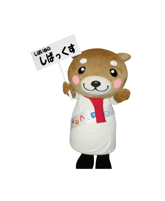 しばっくす