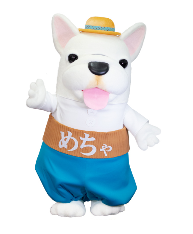 めちゃ犬