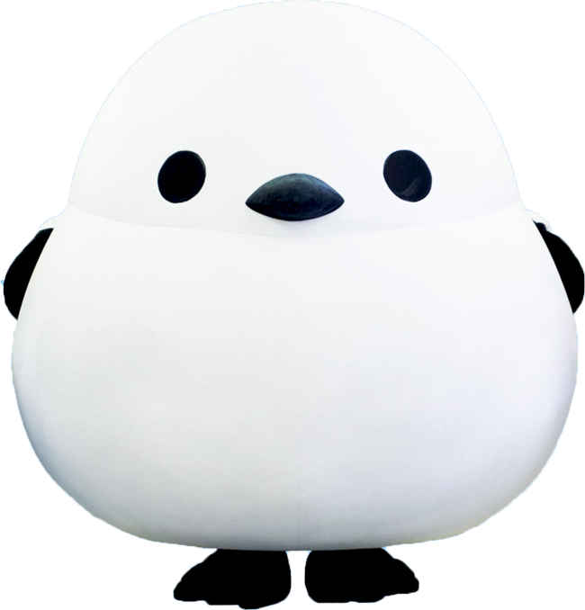 シマちゃん