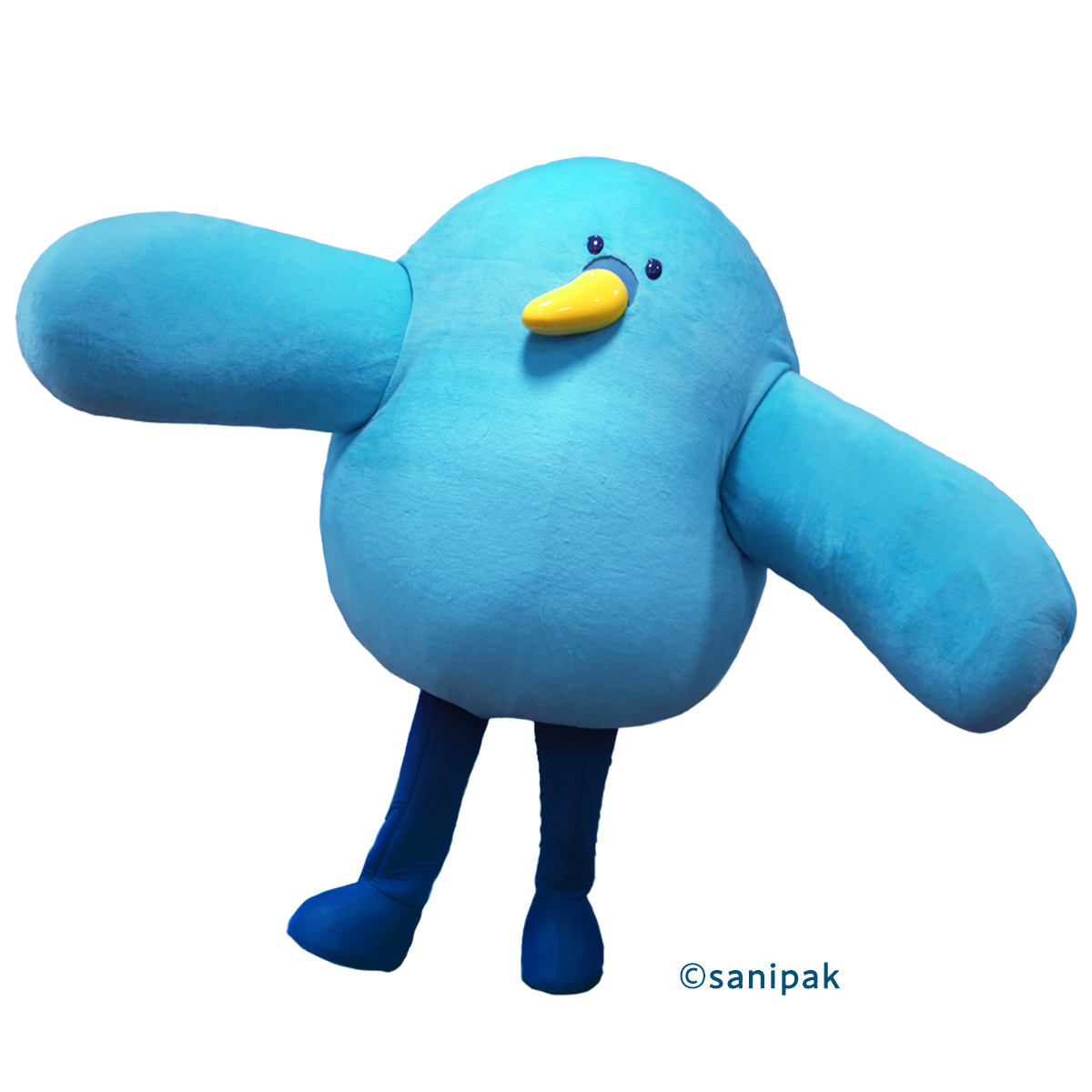かもめのサニー