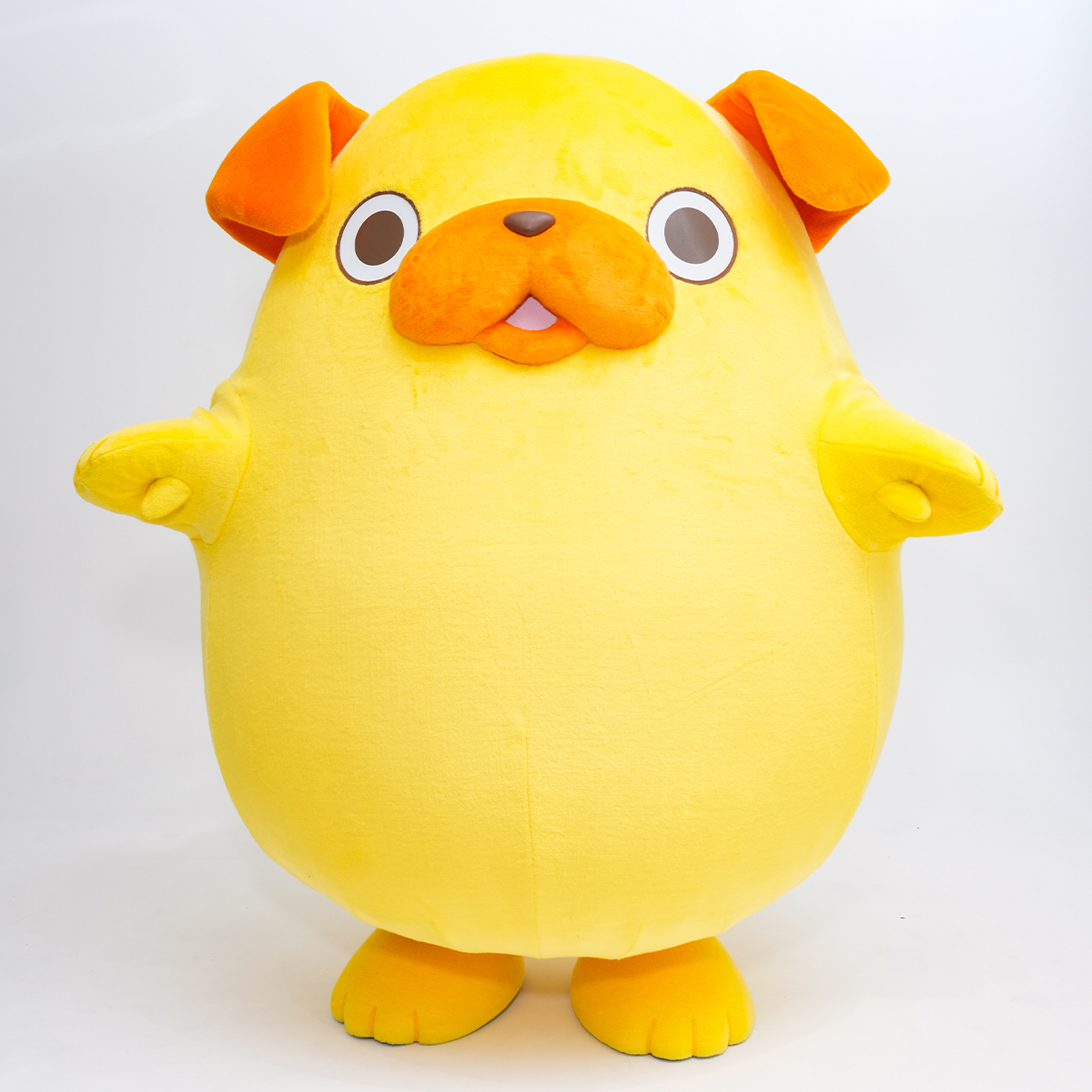 パグ太郎