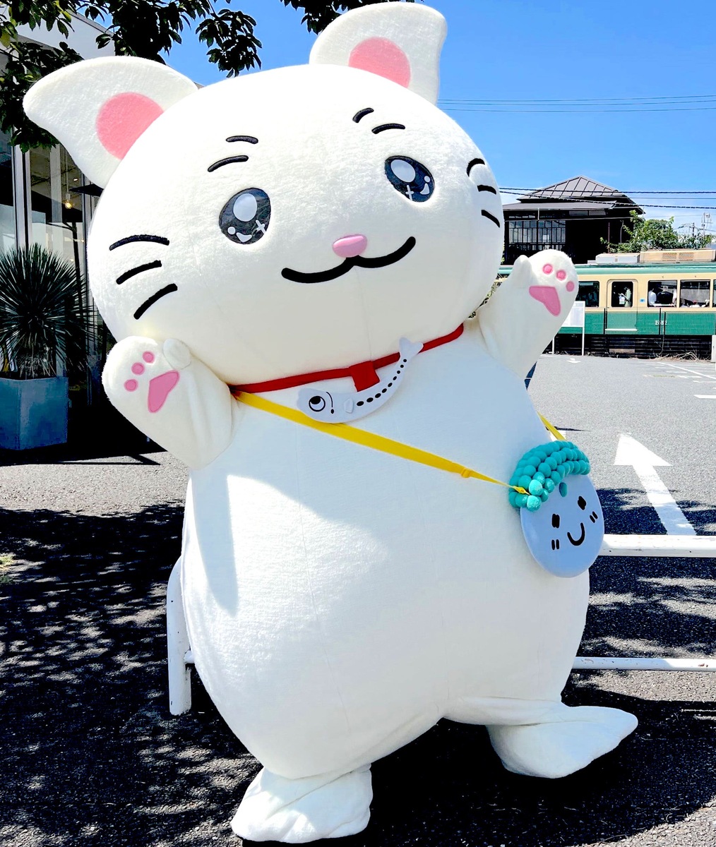 かまにゃん🐾