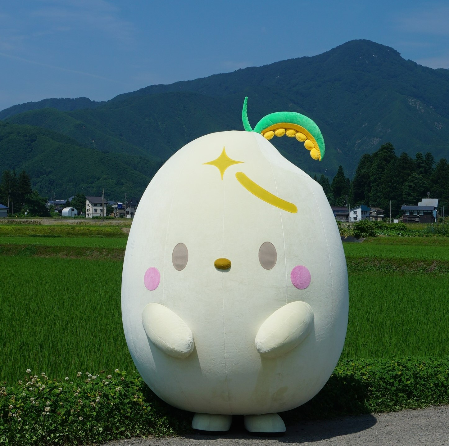 うおぬまっち