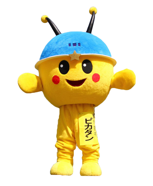 ピカタン