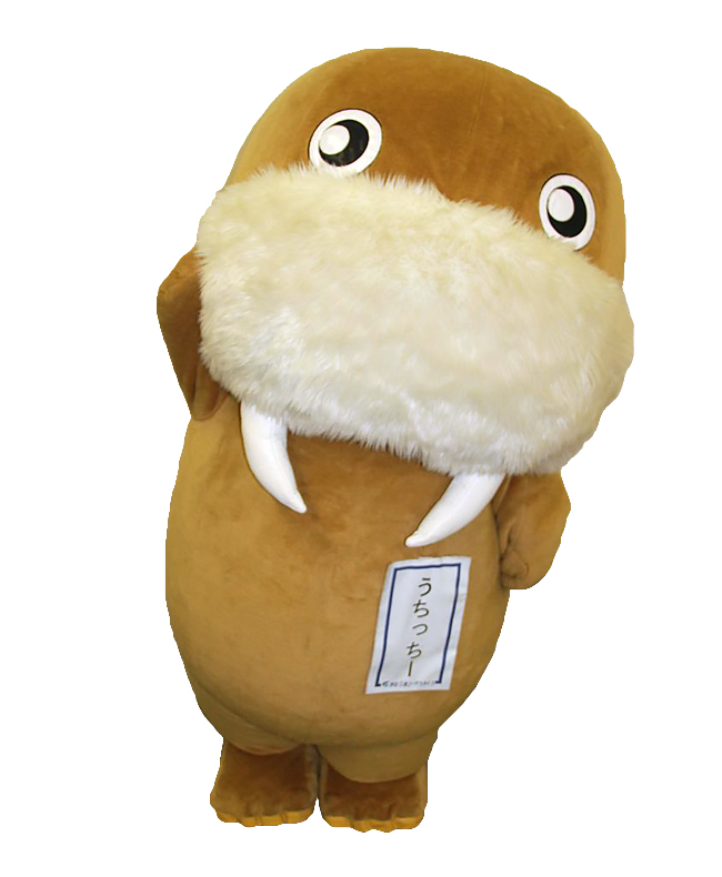 うちっちー
