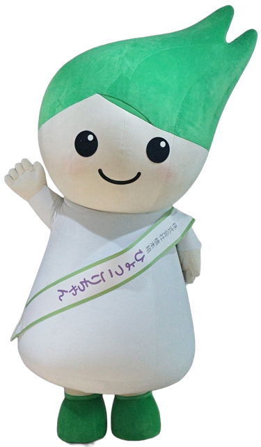 ひょっこりちゃん