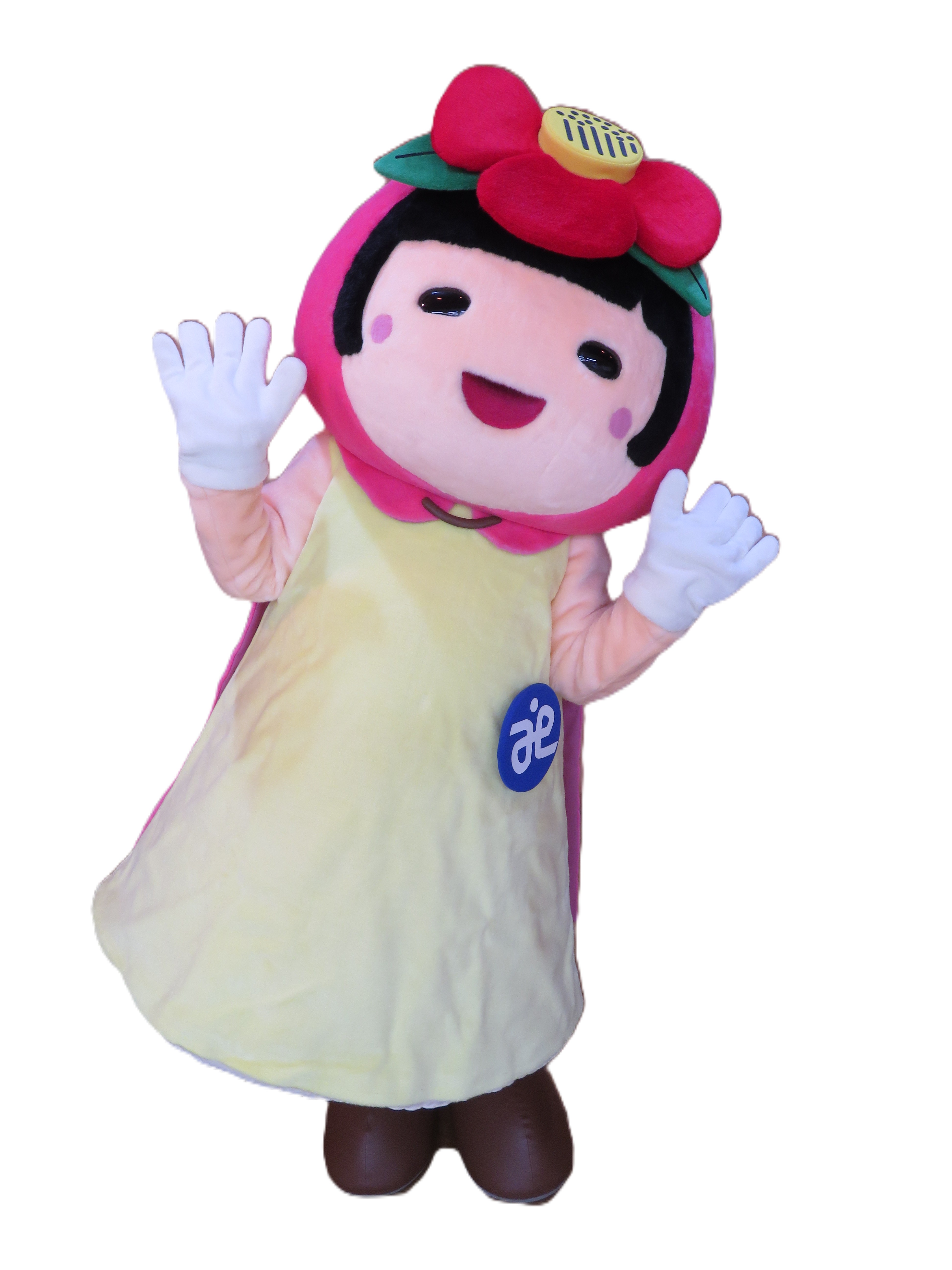 せとっち