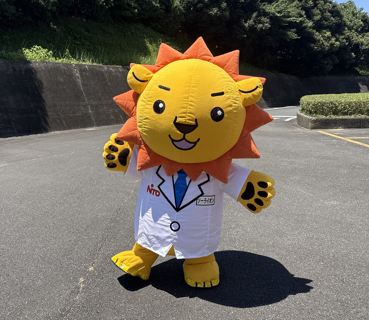 ソーライオン