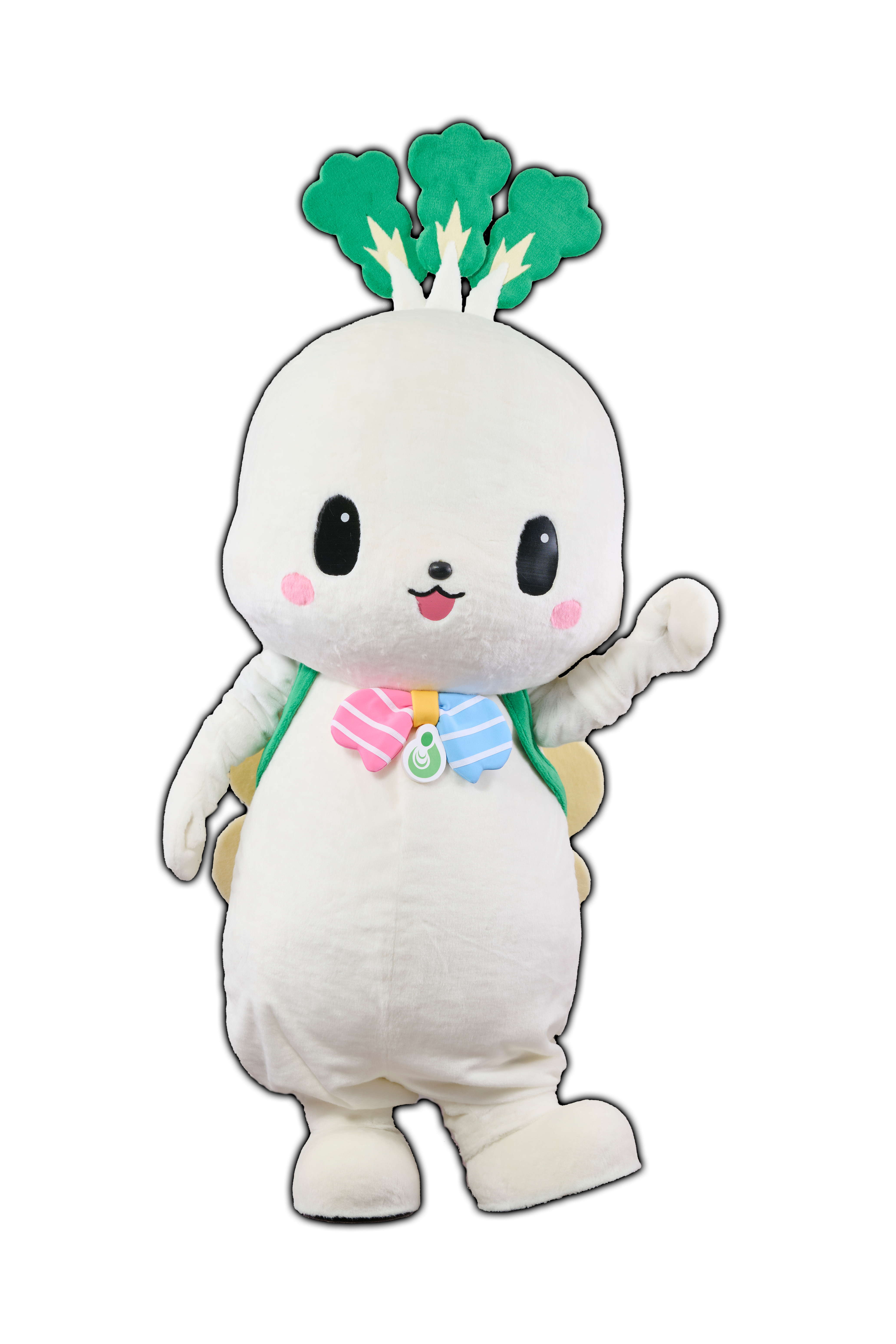 城希（きき）