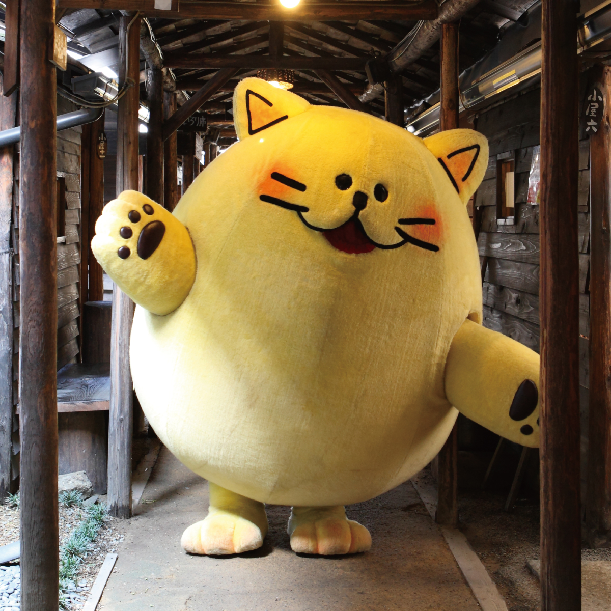 のらちゃん