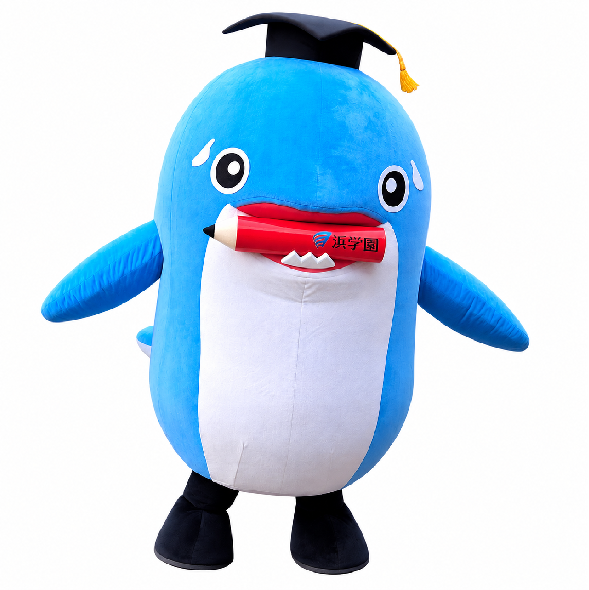 オルパス